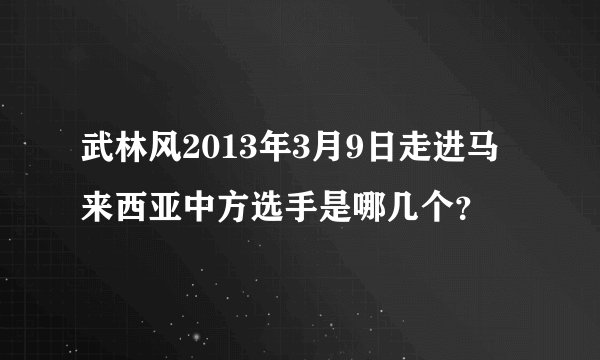 武林风2013年3月9日走进马来西亚中方选手是哪几个？