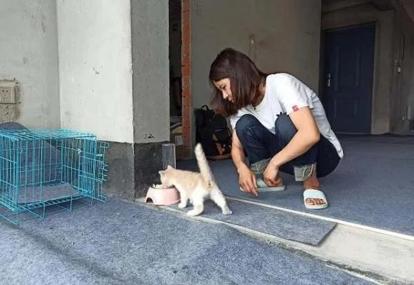 江苏95后女孩住进倾尽10年积蓄购买的毛坯房，现在的她如何？