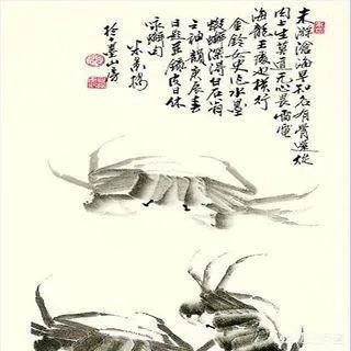 老演员张金玲简历？