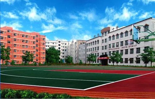 青岛九中中加班和青岛二中国际班哪个好请说理由