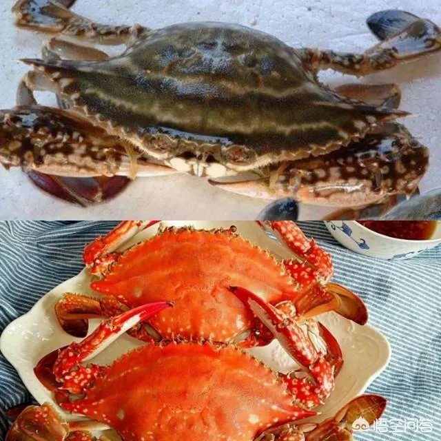 怎么挑选最鲜的海鲜？