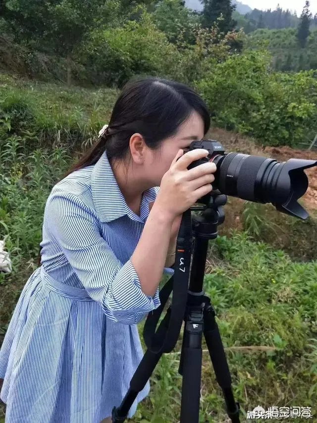 麻城公园城上城现在房价是多少？二手房的价格又是多少？