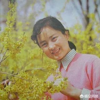 老演员张金玲简历？