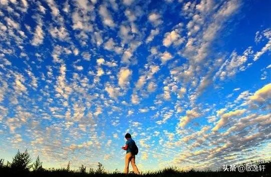 流浪他乡作老翁，是不是老了都会走失？