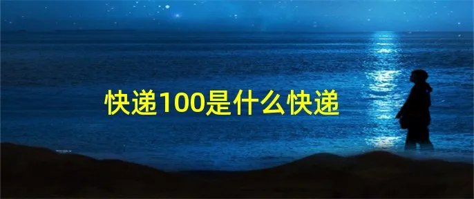 快递100是什么快递