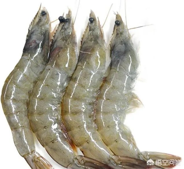 怎么挑选最鲜的海鲜？