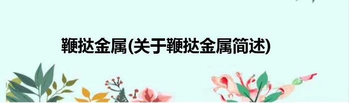 鞭挞金属(关于鞭挞金属简述)