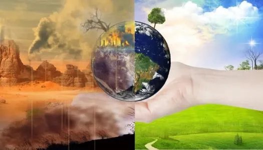 特斯拉被禁止大肆砍伐森林，为何人类发展一定要以破坏环境为代价？