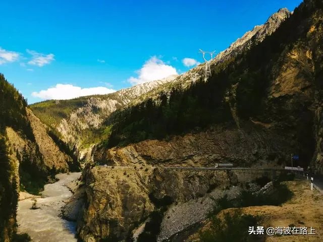 什么车最适合自驾游，为什么？