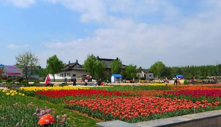 漳浦花博园地址