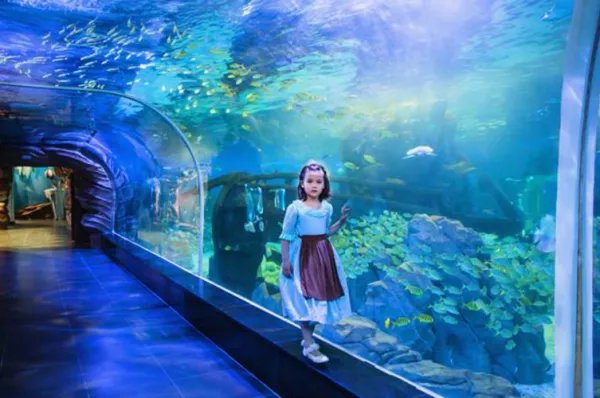 郑州两个海洋馆哪个好