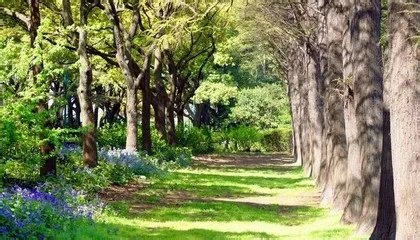 共青森林公园烧烤最全攻略