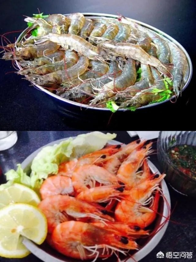 怎么挑选最鲜的海鲜？