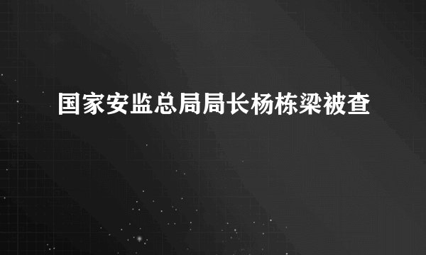 国家安监总局局长杨栋梁被查