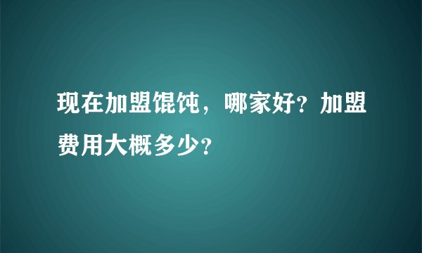 现在加盟馄饨，哪家好？加盟费用大概多少？
