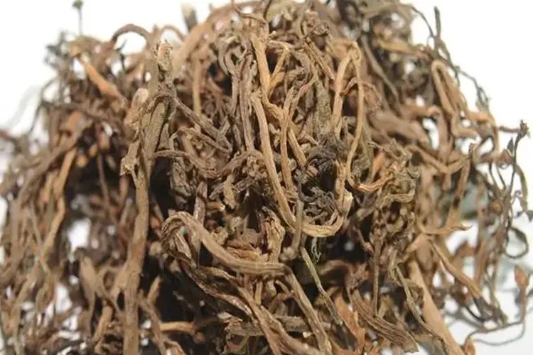 马齿菜功效和作用与图片