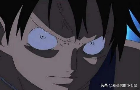 凯多认出布鲁克