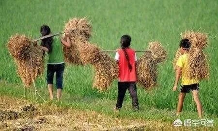 关于农业生产的俗语有哪些？