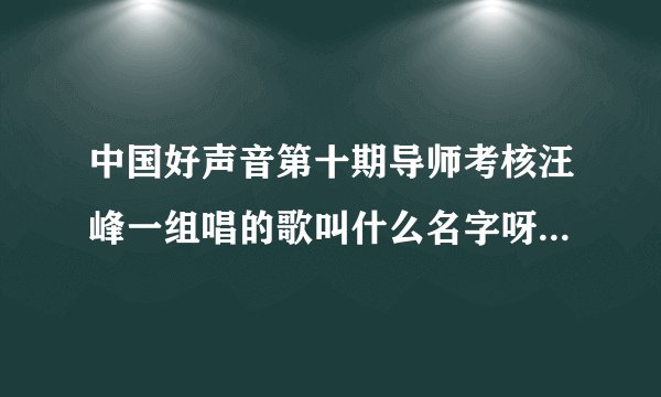 中国好声音第十期导师考核汪峰一组唱的歌叫什么名字呀？很感人的