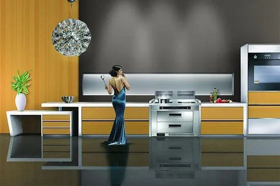 中国集成灶十大排名有哪些品牌 什么品牌质量好