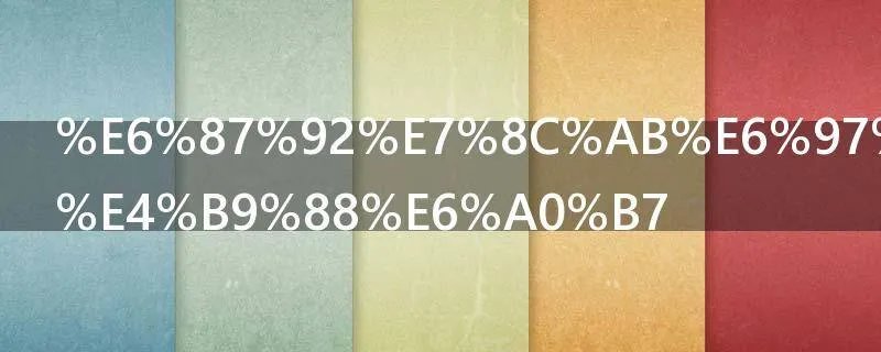 懒猫旅行怎么样