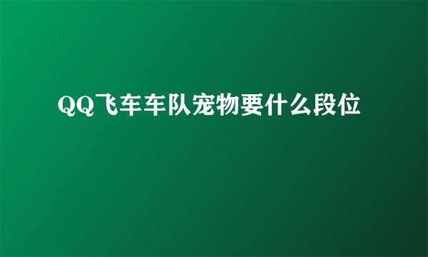 QQ飞车车队宠物要什么段位