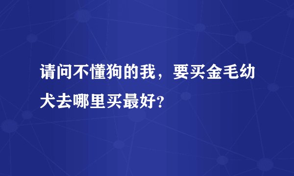 请问不懂狗的我，要买金毛幼犬去哪里买最好？