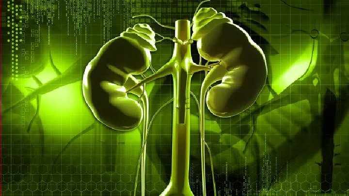 哪些补肾食物，食疗补肾有哪些