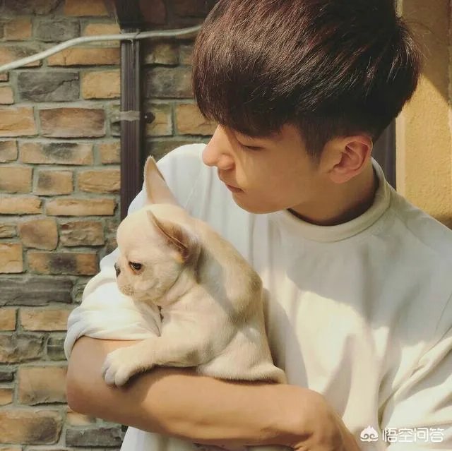 有哪些适合男生的头像？