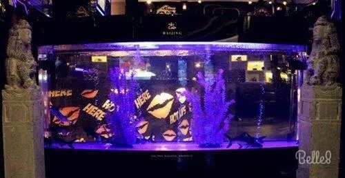 天津哪几个酒吧的人气最高？