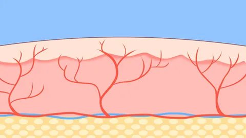 血沉检查怎么检查