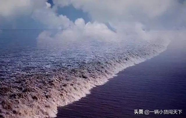 请问2019年钱塘观潮最佳时间都是什么时候？