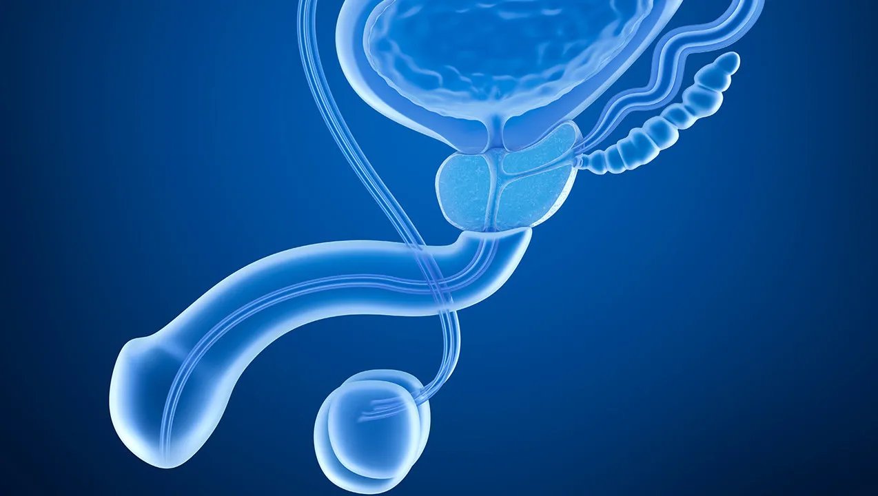 壮阳的食物有哪些