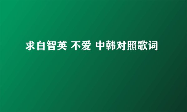 求白智英 不爱 中韩对照歌词