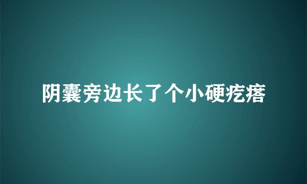阴囊旁边长了个小硬疙瘩