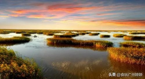 中国共有哪些著名的湿地公园？