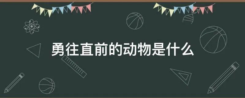 勇往直前的动物是什么