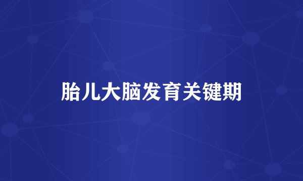 胎儿大脑发育关键期