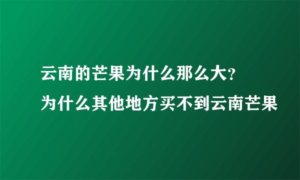 云南的芒果为什么那么大？ 为什么其他地方买不到云南芒果