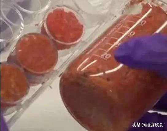 你是如何看待中国第一块人造培养肉诞生？它将给我们的生活带来哪些影响？