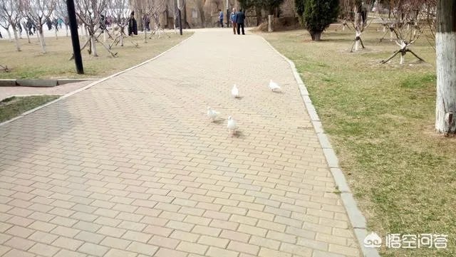 在婆家地位是自己争取的还是别人给的？