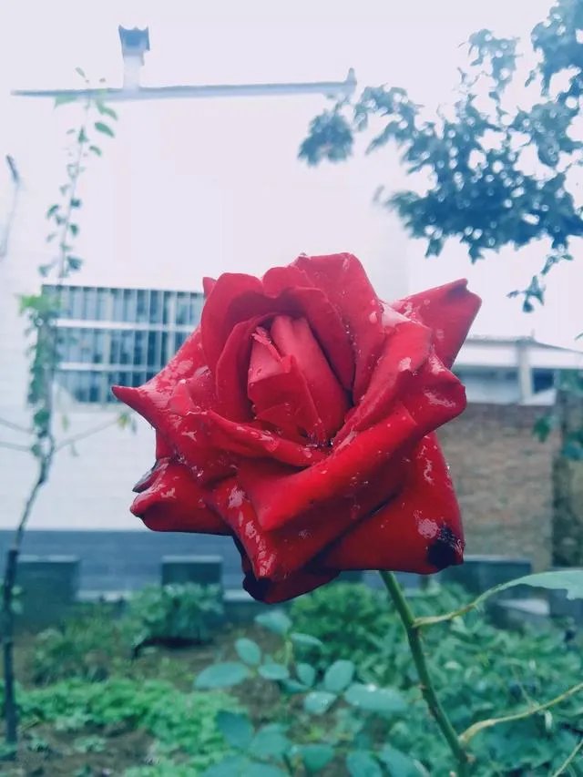 溺水身亡，打捞队挟尸要价，你怎么看？