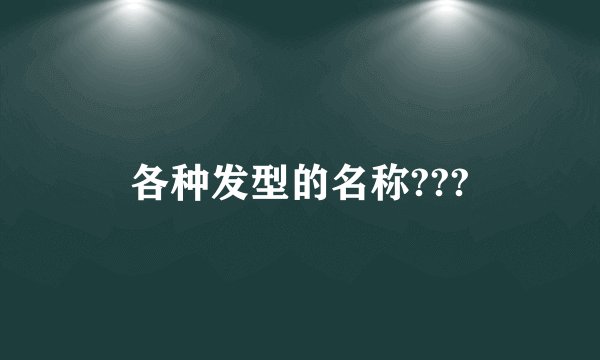 各种发型的名称???