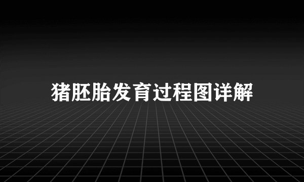 猪胚胎发育过程图详解