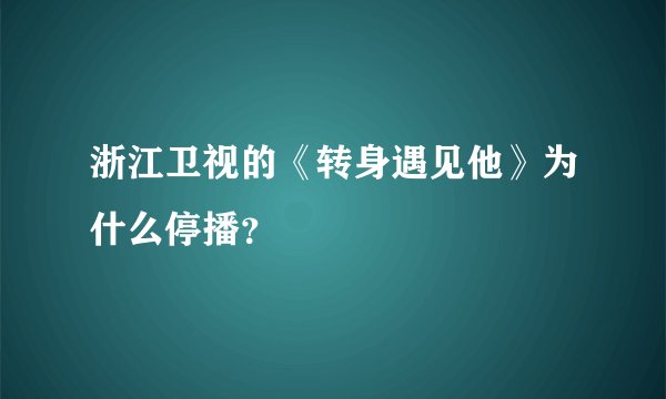 浙江卫视的《转身遇见他》为什么停播？