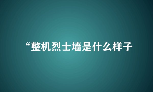 “整机烈士墙是什么样子