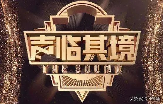 如何看待刘琳获得《声临其境》冠军？