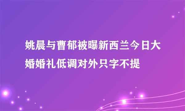 姚晨与曹郁被曝新西兰今日大婚婚礼低调对外只字不提