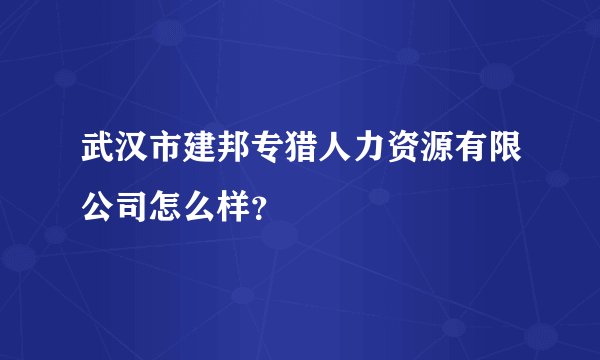 武汉市建邦专猎人力资源有限公司怎么样？