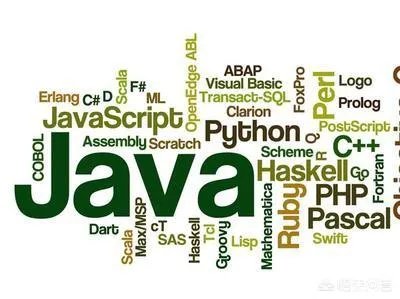 不去培训班自学编程吗